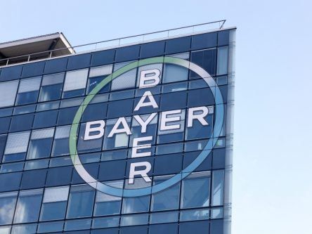 Google Cloud and Bayer team up to bring AI to radiologists