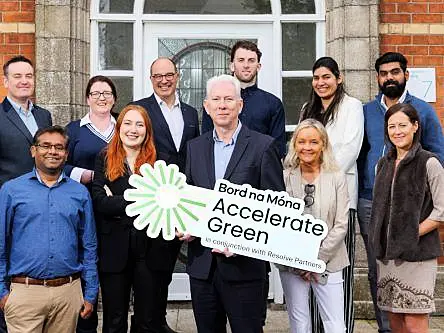 Nine Irish start-ups pass Bord na Móna’s 2024 green accelerator