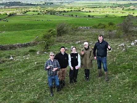 ESA funds Farmeye’s hedgerow conservation project