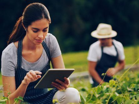 Future Human podcast: Can tech help ensure food security?