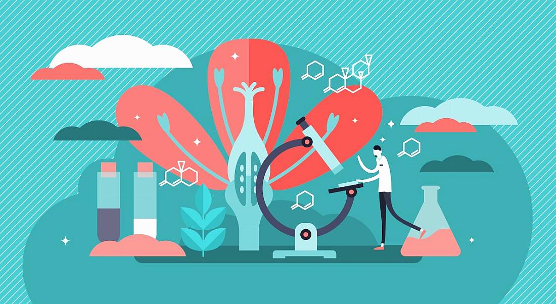 A colourful, nature based display of a cartoon man surrounded by tools typically used in the life sciences sector.