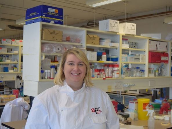 How this dino-inspired immunologist is battling brain tumours