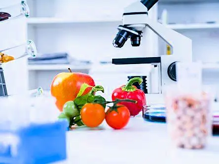 Research is growing high in Ireland’s food and drink sector