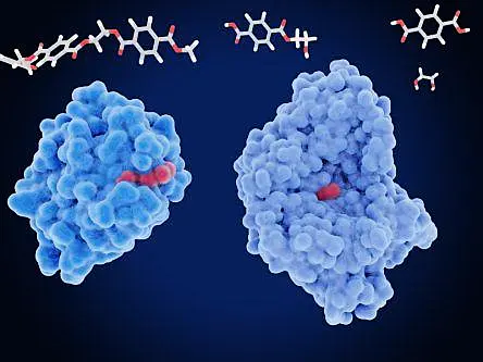 Researchers develop algorithm to make improved enzymes