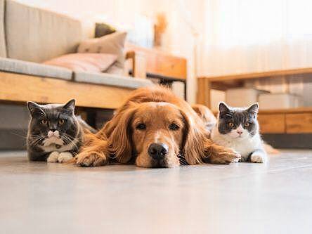 How your favourite PETs can enable secure automation