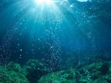 Mysterious ‘dark oxygen’ is being produced on the ocean floor