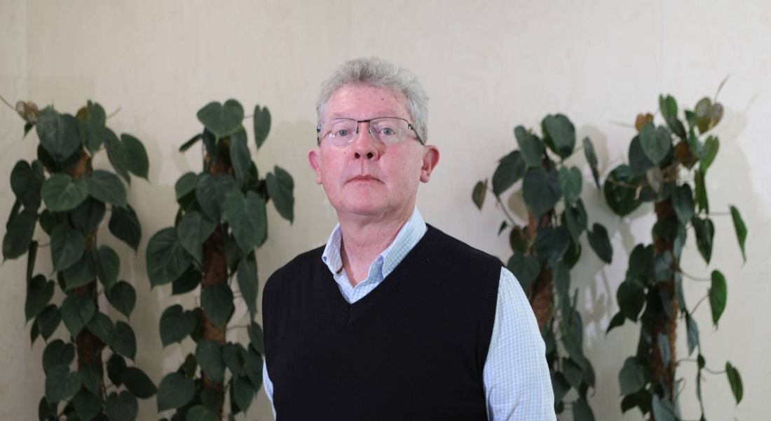 Prof Seamus Davis stands with his hands behind his back looking at the camera. He has grey hair and glasses and is wearing a blue shirt and a navy sleaveless jumper. There is a cream wall behind him with plants visible.