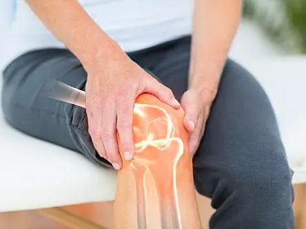 Why haven’t we evolved better knees?