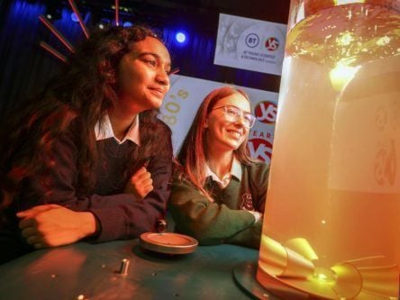 BT Young Scientist still going at 60 as exhibition opens today