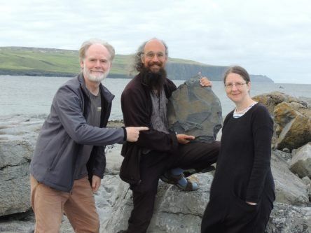 Fossil of 315m-year-old sponge named after mythical giant found in Clare