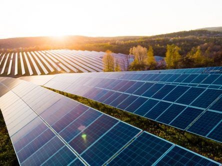 First ESB utility-scale solar farm hits major milestone