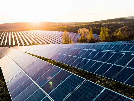 First ESB utility-scale solar farm hits major milestone