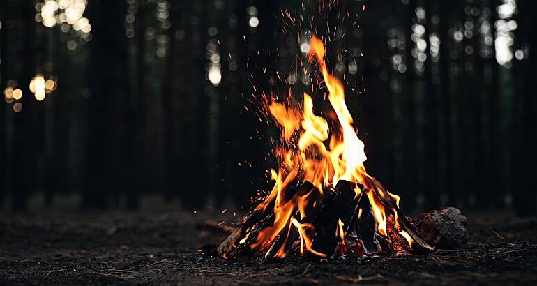 A small campfire in the middle of a forest floor.