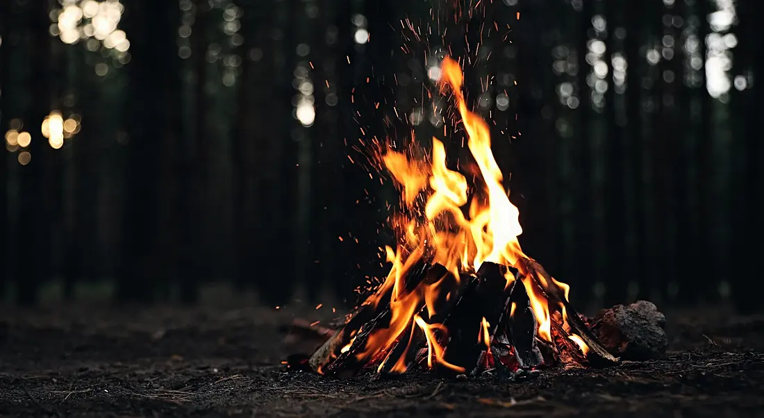 A small campfire in the middle of a forest floor.