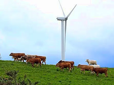 Galetech Group invests in Adamas Wind amid UK expansion