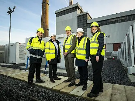 ESB opens major battery energy storage site in Dublin’s Poolbeg