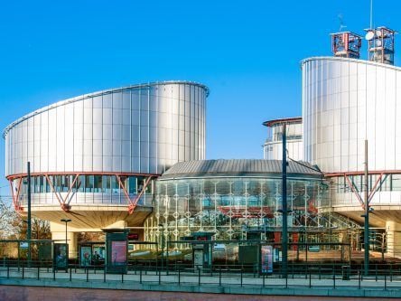 European human rights court rules in favour of end-to-end encryption