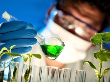 EU paves the way for a stronger domestic biotech sector