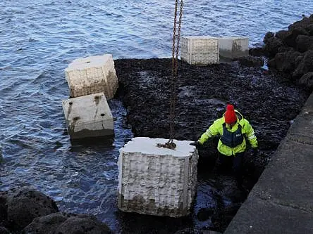 How 3D-printed units can boost marine life along Dublin Port