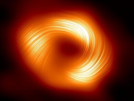 First view of magnetic fields around black hole in our galaxy