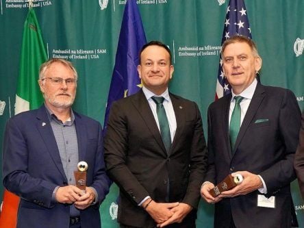 St Patrick’s Day medal goes to experts in data mining and agrifood