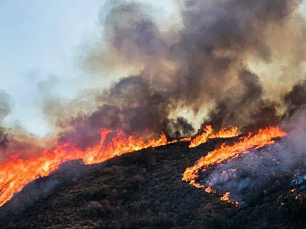 Dryad Networks raises €6.3m to drive wildfire prevention tech