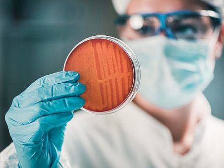 UCD research offers potential for new ways to fight MRSA superbug