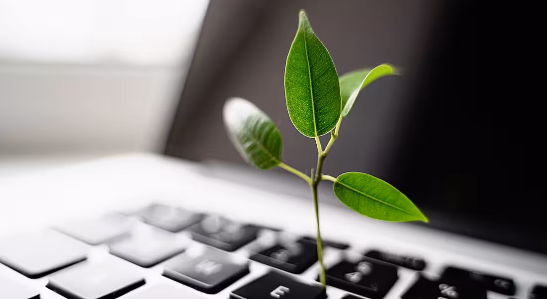 A green leaf emerging from a laptop, representing STEM and sustainability skills.