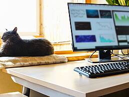 A woman researcher is working at a desk with books and a laptop.