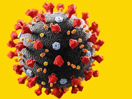 Breakthrough identifies which cells Covid-19 is likely attacking