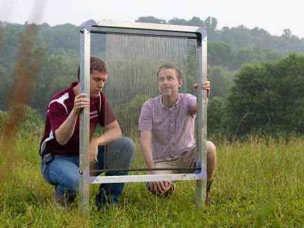 Super-efficient ‘fog harp’ device can collect water from the lightest mist