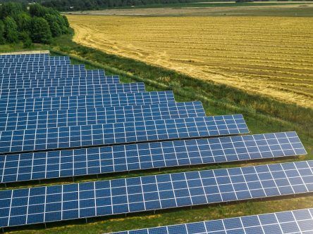 ESB and Harmony Solar agree €30m deal to build Irish solar farms
