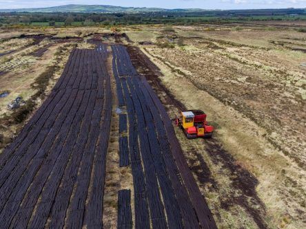 Midlands power stations could be transformed into clean energy hub