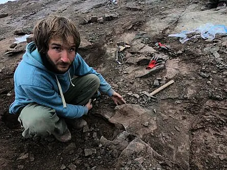 Remains of huge ‘megaraptor’ with scythe-like claws uncovered in Argentina