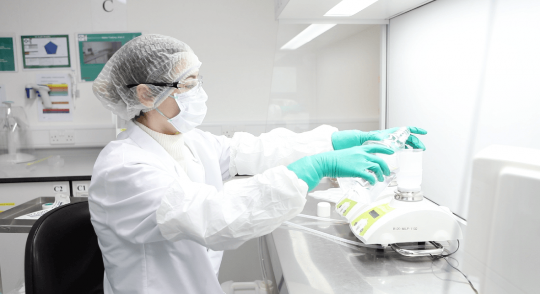 An employee at MSD Carlow is working in a lab.