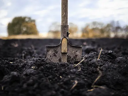 MicroGen Biotech raises €3.47m to reduce heavy metals in soil