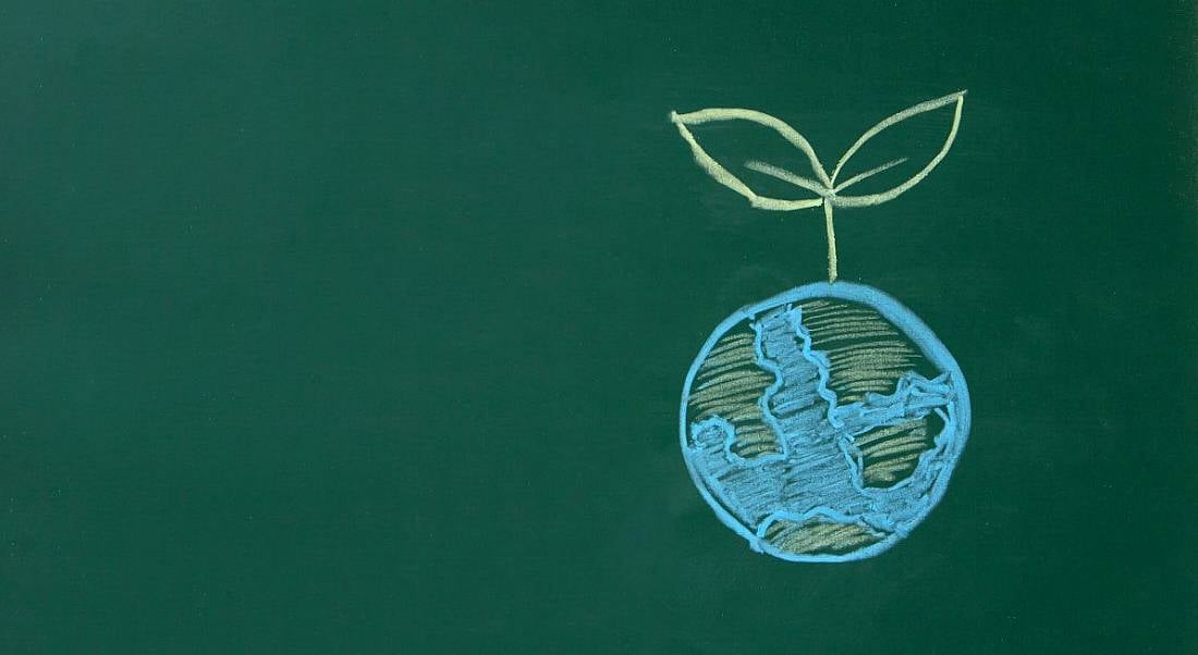 A chalk drawing of Earth with roots growing out of it on a dark green background.