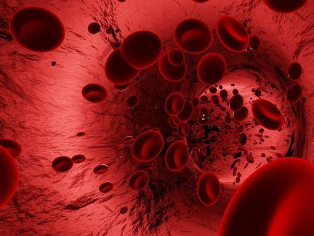 Treatment of common bleeding disorder may be boosted with new molecule