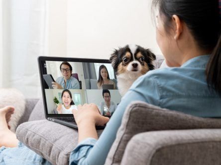 How to minimise disruptions when you’re on a video call