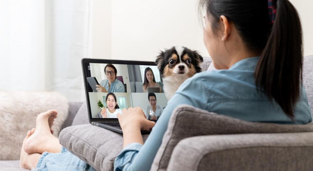 A woman on a sofa is talking to colleagues on a video call while her dog is disrupting the meeting.
