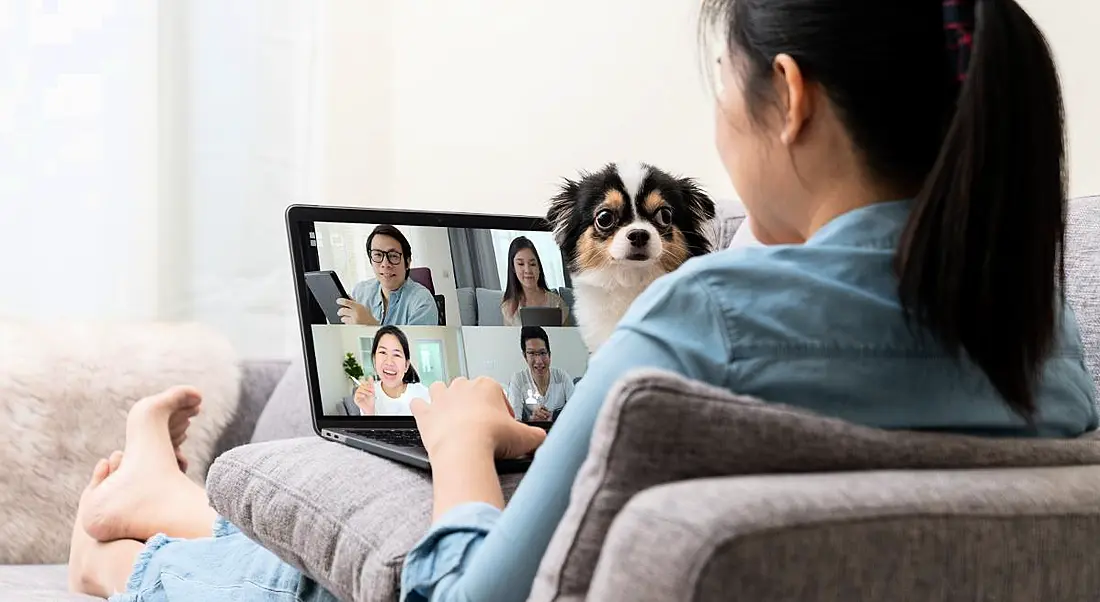 A woman on a sofa is talking to colleagues on a video call while her dog is disrupting the meeting.