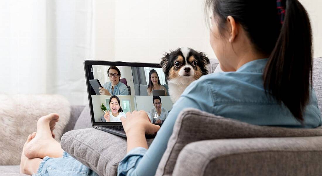 A woman on a sofa is talking to colleagues on a video call while her dog is disrupting the meeting.