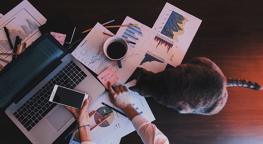 Creative home workspace with documents on wooden floor beside a laptop, person and cat.