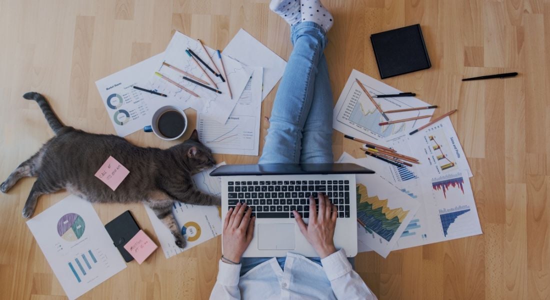 A person sitting on the ground working on a laptop. There are files scattered all around them and a cat lying beside them.