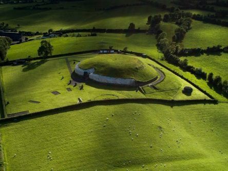 First-degree incest discovered in genome of ancient Newgrange remains