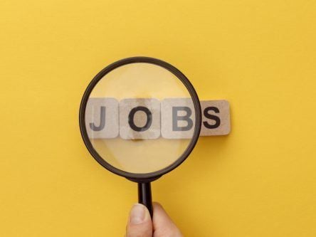On the job hunt? There’s opportunities in Cork, Galway and Wexford