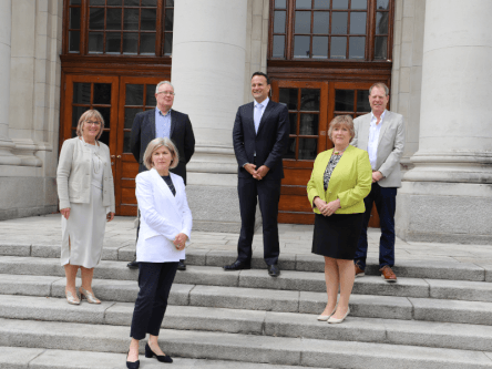 Government launches €500m expansion to SME lending scheme