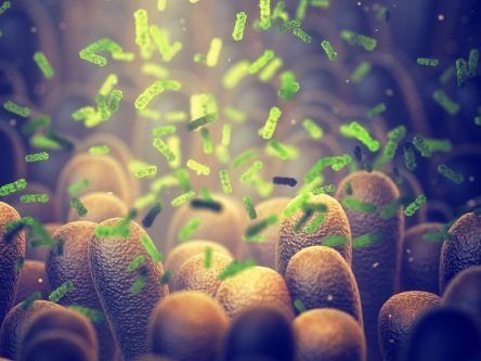 Mucus-munching enzyme discovery may help identify intestinal diseases