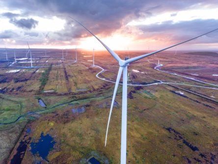 Bord na Móna seeks €1.6bn to fund national climate action projects