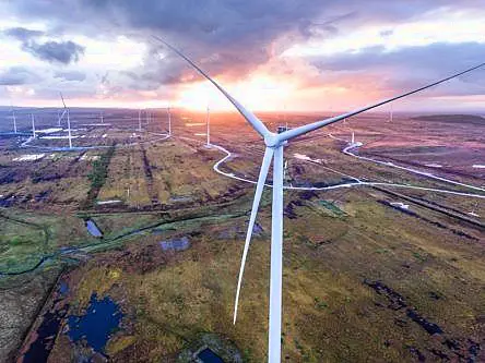 Bord na Móna seeks €1.6bn to fund national climate action projects